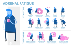 illustration of adrenal fatigue symptoms and adrenal fatigue treatment from a holistic doctor in Los Angeles