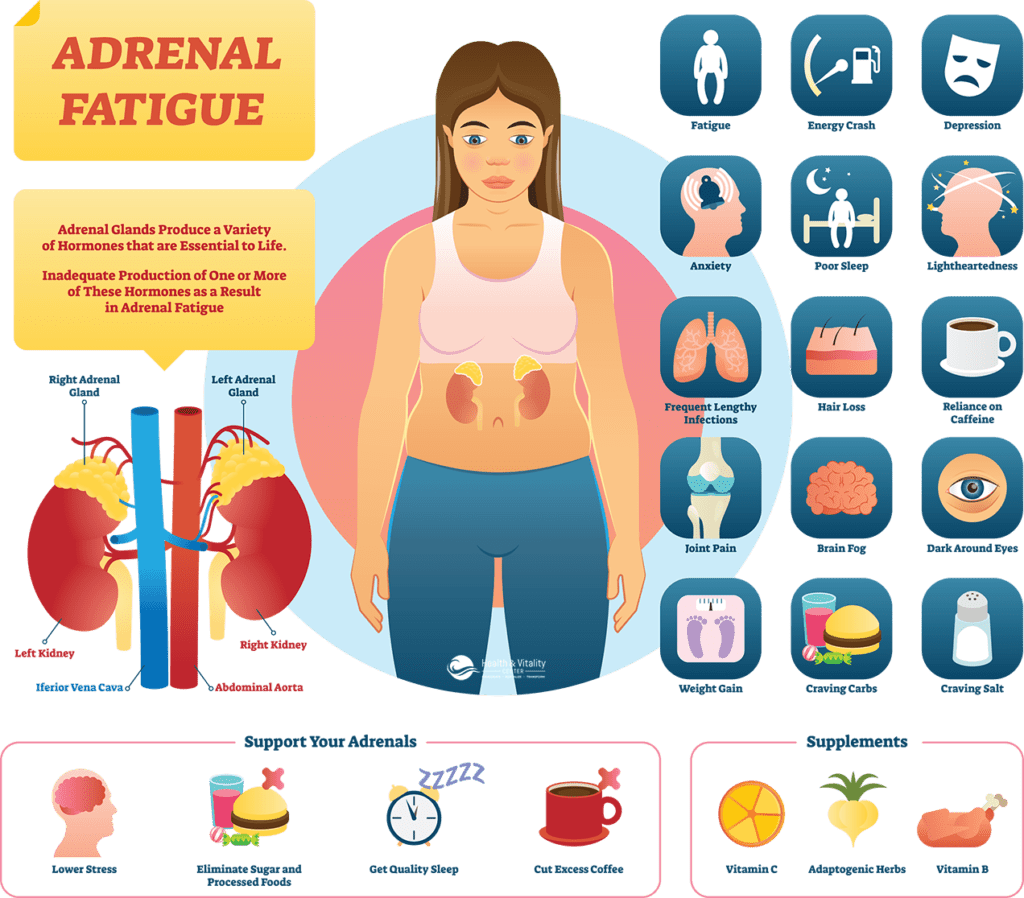 Adrenal Fatigue Doctor Los Angeles Shiva Lalezar D.O.