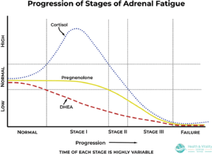 Diagram showing the progression of adrenal fatigue through stages 1, 2 and 3